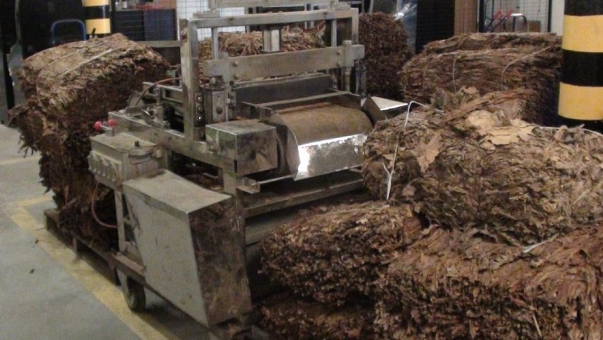 Nielegalna fabryka papierosów w Zabrzu zlikwidowana