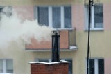 Strażnicy miejscy z Gdańska kontrolują piece w domach. Za spalanie śmieci grożą kary