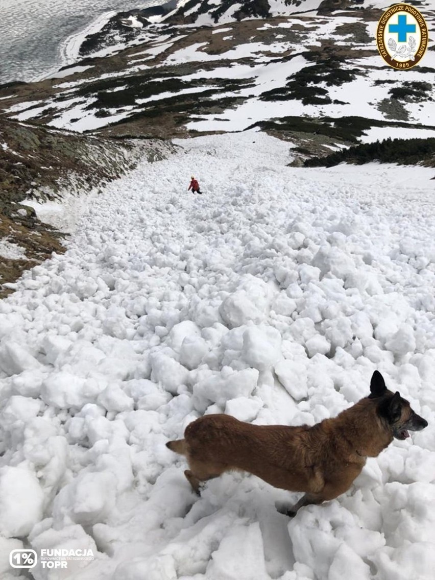 Warunki w Tatrach. Uwaga na lawiny! W środę śnieg porwał parę turystów. Z poważnymi obrażeniami trafili do szpitala