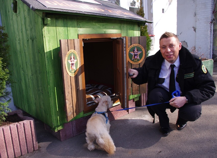 Okienko Życia dla zwierząt już otwarte. W ciągu kilku godzin podrzucono 14 zwierzaków [WIDEO, FOTO]