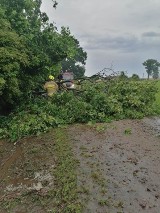 Zakrzewo. Wczorajsza burza przysporzyła pracy zakrzewskim strażakom