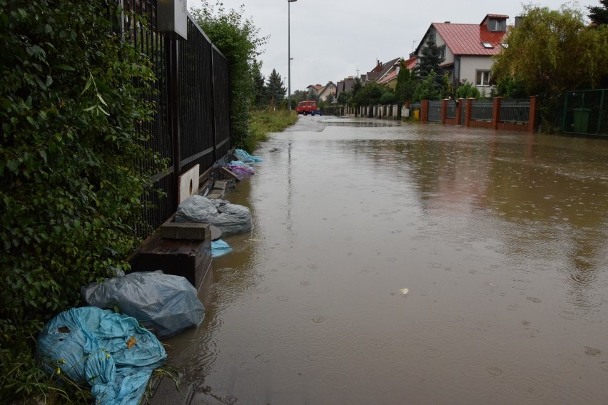 Zalane Mosty, wrzesień 2017