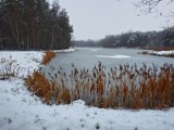 Grudniowa Zima nad Zalewem Pniowiec w obiektywie Henryka Jarząbka