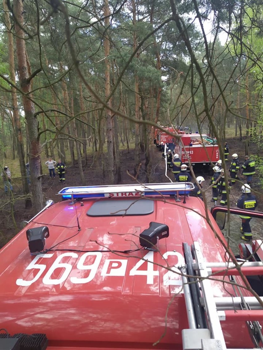 To był kolejny bardzo pracowity weekend dla strażaków z gminy Gizałki