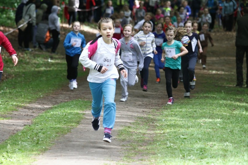 Bieg Zawilca 2014 biegi młodzieżowe