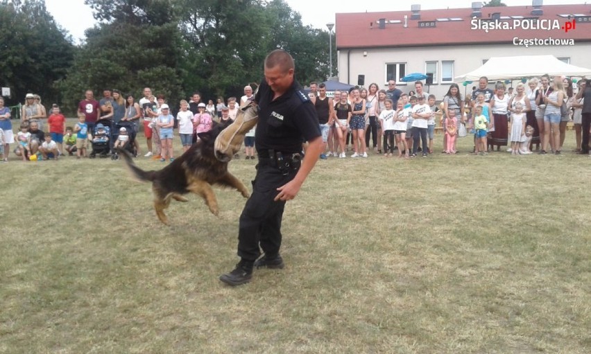 Policyjny pies Rambo na festynie pokazał co potrafi