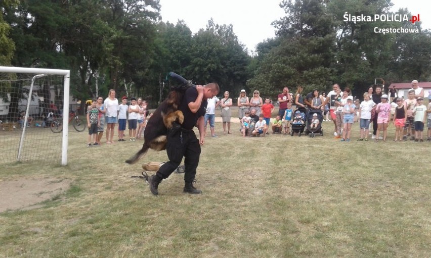 Policyjny pies Rambo na festynie pokazał co potrafi