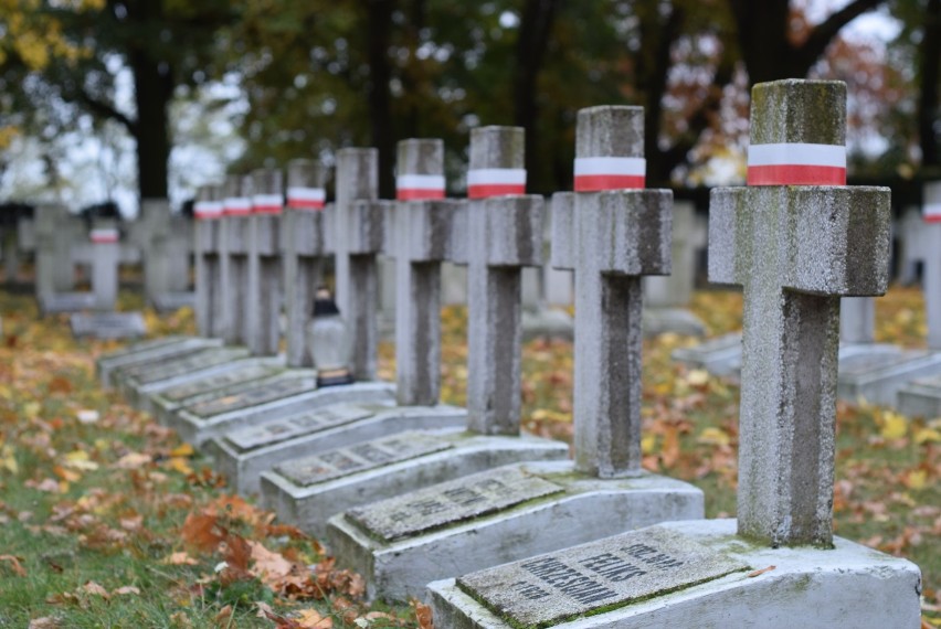 Nekropolie w Kaliszu. Cmentarz wojskowy na Majkowie