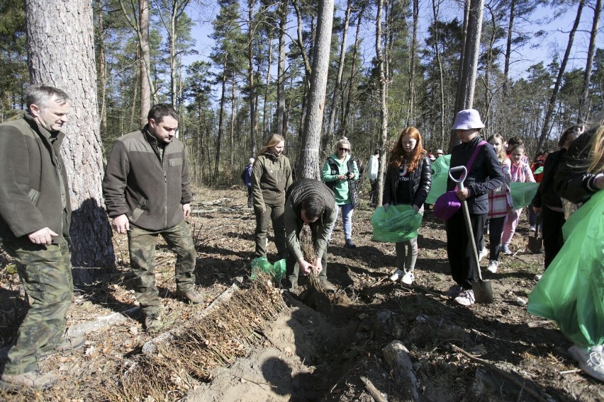 Maraton dla Ziemi w Słupsku. Wielkie sadzenie lasu na granicy miasta i gminy Słupsk