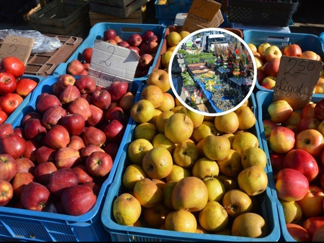 Owoce, warzywa i pierwsze świąteczne ozdoby. Zobacz, co działo się w piątek na placu targowym w Stalowej Woli >>>>