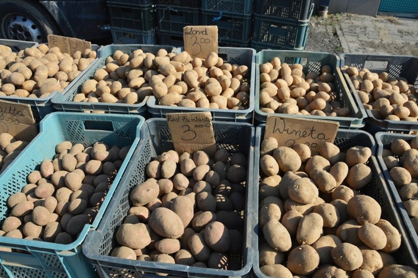 Ceny owoców i warzyw na targu w Stalowej Woli w piątek ósmego marca. W jakich były cenach? Pojawiły się ozdoby wielkanocne