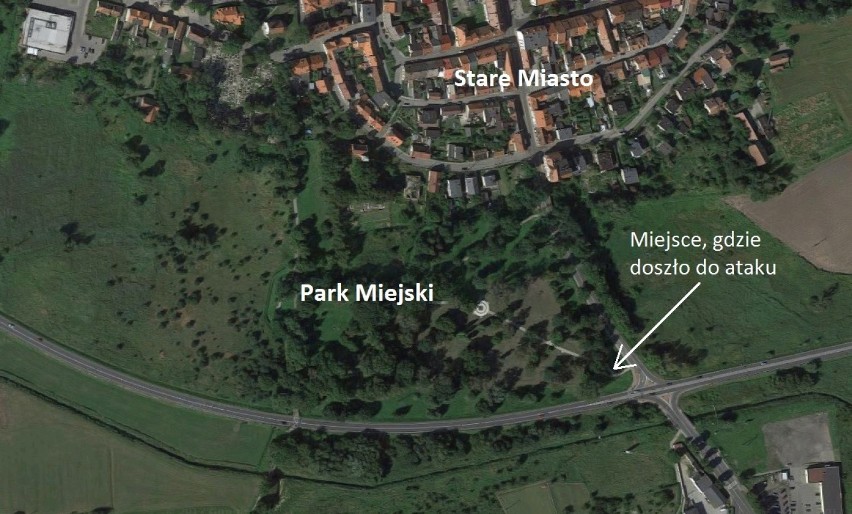 Gwałciciel w Pyskowicach: 30-latka zgwałcona w parku. Rozpoznajesz go? [RYSOPIS]