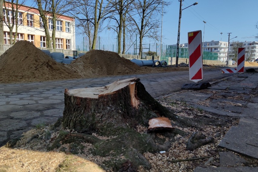 Przebudowa ul. Broniewskiego w Piotrkowie:  około 40 drzew...