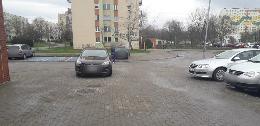 Mistrzowie parkowania z Koszalina