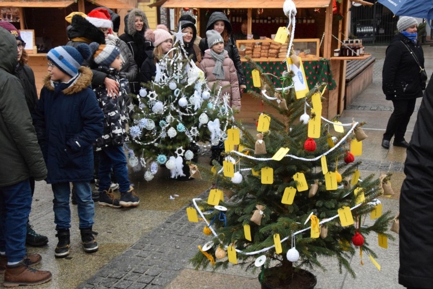 Konkurs na najlepiej ubraną choinkę na Rynku w Kielcach. Zobacz najpiękniejsze drzewka (WIDEO, ZDJĘCIA)