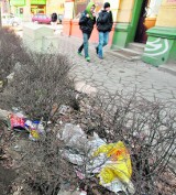 Wrocław: Ulica Traugutta tonie w śmieciach, a jak jest na Twojej ulicy?