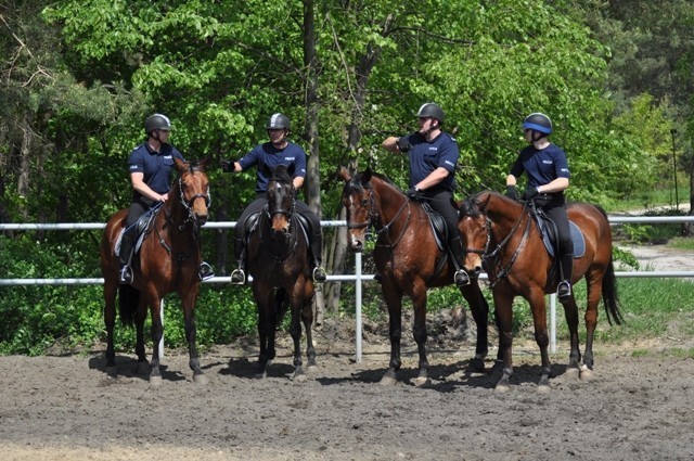 Tomaszowskie konie gotowe do policyjnej służby
