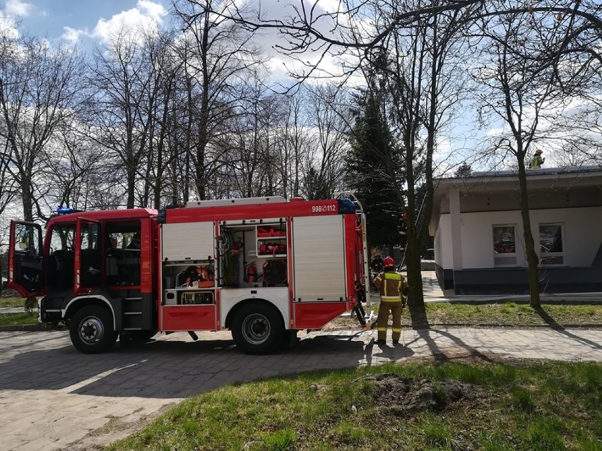 Pożar w szpitalu powiatowym w Opocznie. Palił się dach na remontowanym zakładzie opiekuńczym [zdjęcia]