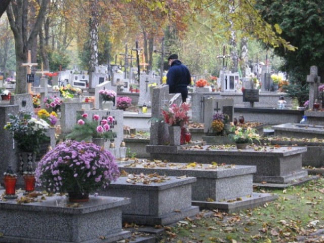 Mapy cmentarzy i ograniczenia w ruchu w okolicy nekropolii, ...