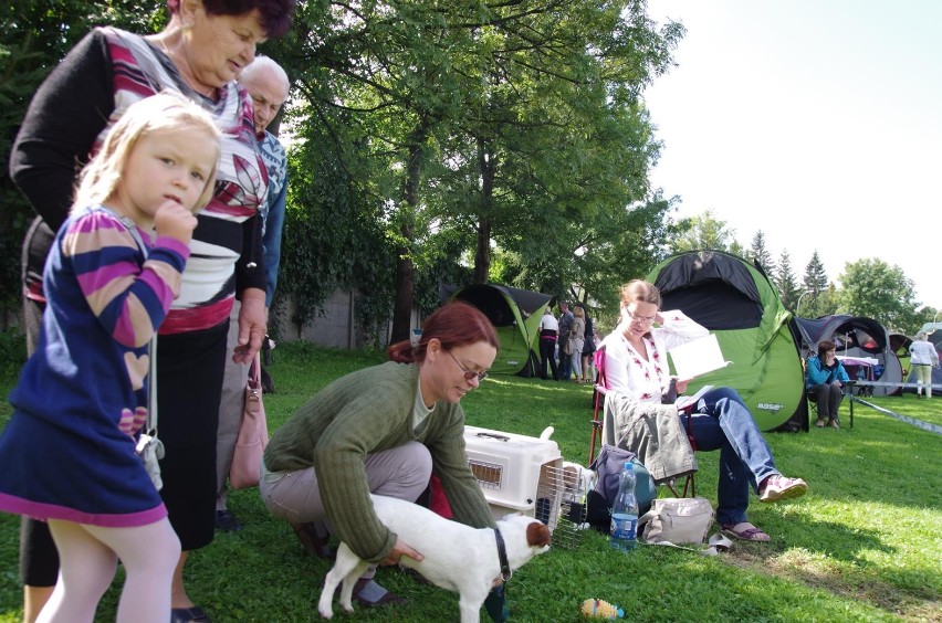 Kilka tysięcy zwiedzających