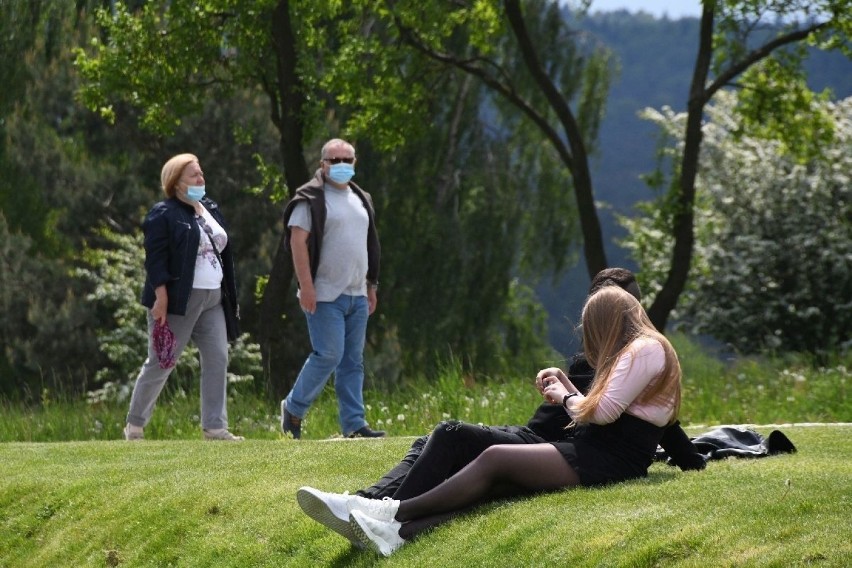 W niedzielę do ogrodu botanicznego przy ulicy...