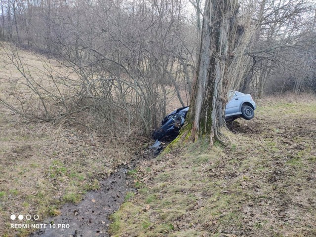 Auto wypadło z jezdni na drodze z Bolkowa do Jeleniej Góry i uderzyło w drzewo. Kierowca został ranny.