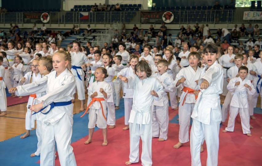 Mistrzostwa karate w Bytomiu w "Hali na Skarpie"