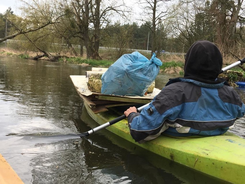 Wielkie porządki wiosenne na rzece Wełnie w powiecie obornickim