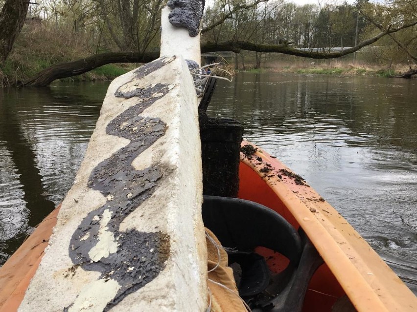 Wielkie porządki wiosenne na rzece Wełnie w powiecie obornickim