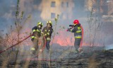 Strażacy gasili pożar traw przy ul. Turkusowej