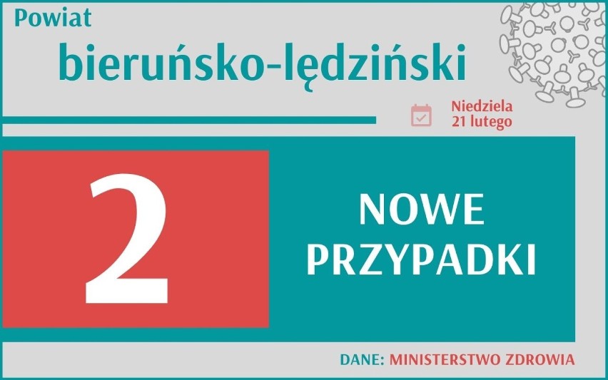 Koronawirus w woj. śląskim. Dziś, 21 lutego, Ministerstwo...