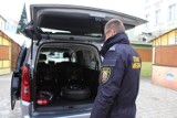 Straż Miejska w Żarach będzie jeździć "elektrykiem". Urząd kupił nowy samochód dla strażników
