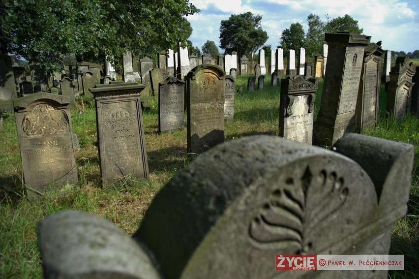Cmentarz żydowski w Koźminie
