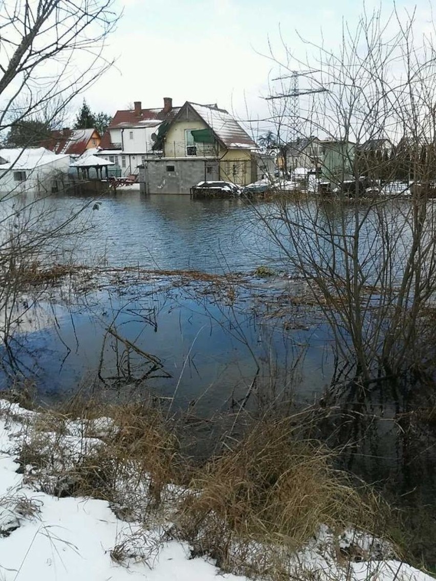 W czwartek 3.01.2019 wciąż obowiązuje alarm powodziowy dla...