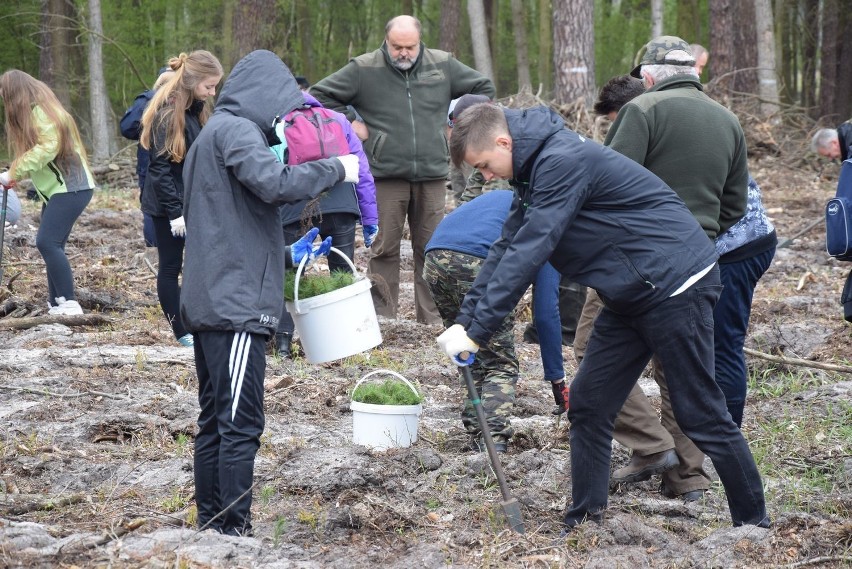 W minionych w Skierniewicach organizowano grupowe akcje...