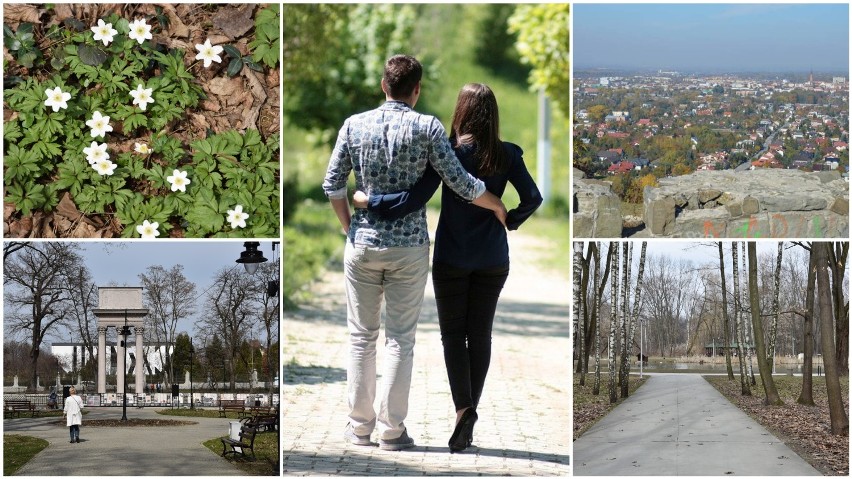 TOP 10 miejsc na wiosenny spacer w Tarnowie i regionie