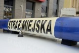 Strażnicy miejscy w Kielcach zatrzymali dziwne zachowującego się mężczyznę. Trafi do więzienia  