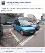 Miętowa Multipla z różowymi felgami. Najpiękniejsze auto Poznania? [ZDJĘCIA]