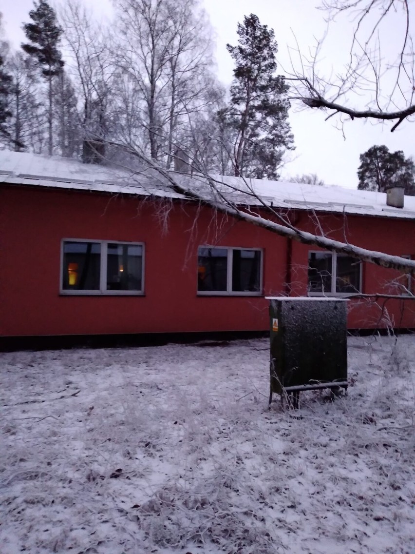 Skutki wichury w powiecie kartuskim - strażacy interweniowali 32 razy