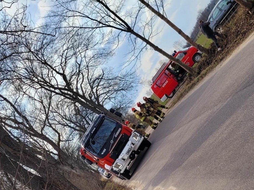 19-letnia kobieta uderzyła samochodem w drzewo. Do wypadku...