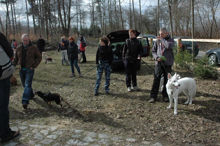 Pomorski Puchar Dogtrekkingu Zbychowo 2013 ZDJĘCIA