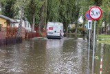 Cofka na Bałtyku dotarła do Szczecina. Podtopione działki, mariny, pomosty - tak wygląda nabrzeże Jeziora Dąbie