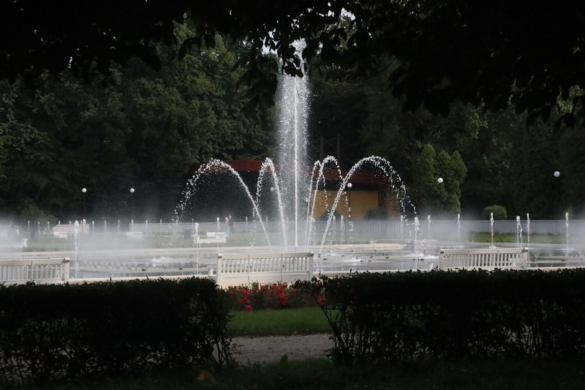 Letnie Granie w Legnicy. Koncert na Ludowo w Parku Miejskim przy fontannach