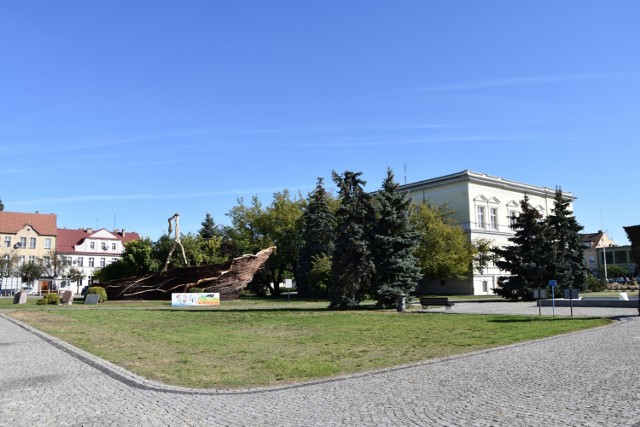 Plac Niepodległości, na którym planowane jest wprowadzenie strefy zamieszkania.