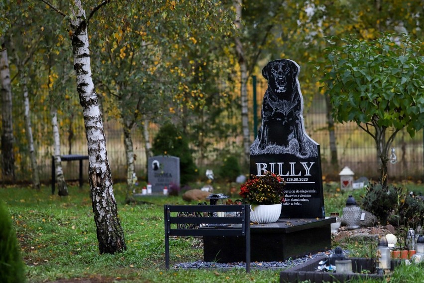 Cmentarz dla Zwierząt w Toruniu