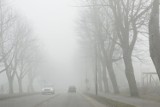 Mgła nad morzem (14 luty 2015). Słaba widoczność na drodze 216. ZDJĘCIA, FILM