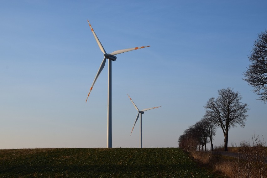 Farma wiatrowa w Łebczu i jego okolicach