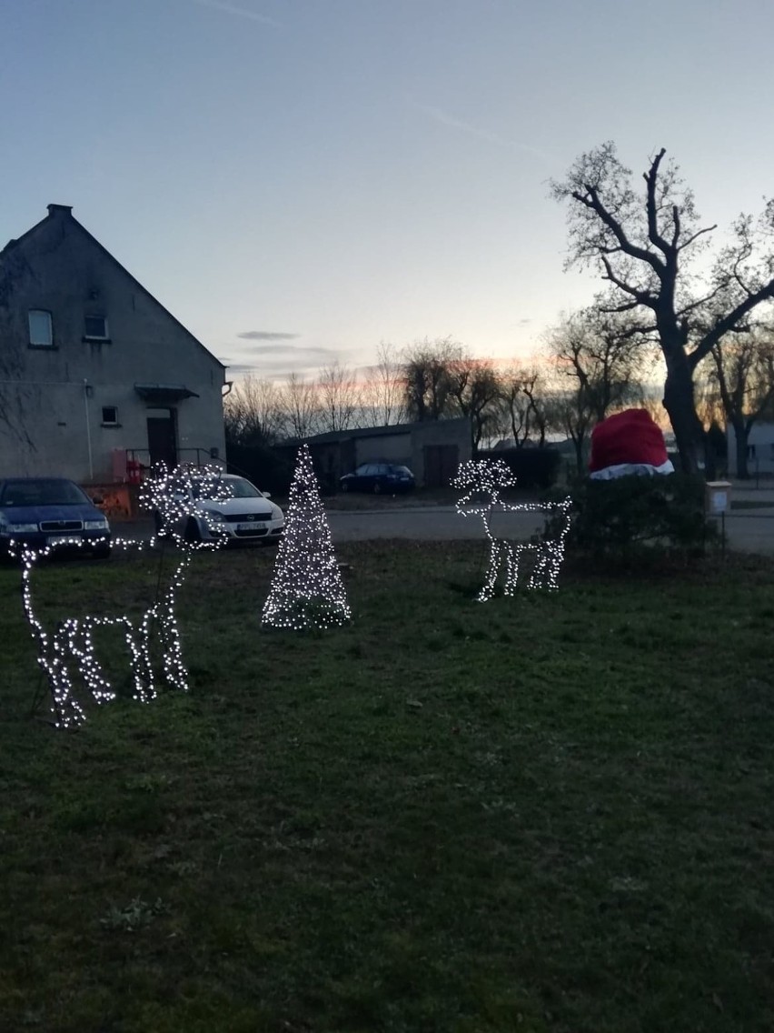 Jedlec przystroił się na Boże Narodzenie ZDJĘCIA