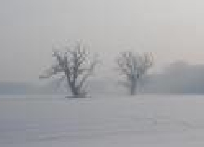 Tak było. Zima stulecia 1979 w Poznaniu i zima 2010 w Kościanie [ZDJĘCIA]