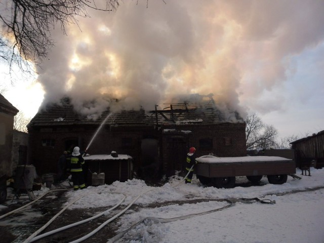 Do pożaru budynku gospodarczego doszło w poniedziałek w Porębie. Pożar gasiło 5 zastępów straży pożarnej.

Zobacz więcej: Poręba: Pożar budynku inwentarsko-gospodarczego [ZDJĘCIA]